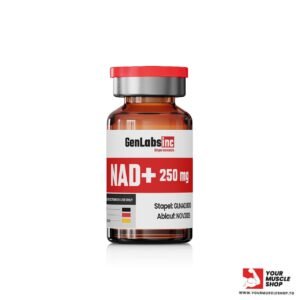 NAD + 250MG (NICOTINAMIDE ADENINE DINUCLEOTIDE) VIAL – GENLABS